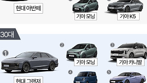 '20대는 아반떼, 60대는 포터'…세대별 중고차 1위는 [데이터클립]