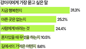 '국제 강아지의 날'…강아지에게 가장 묻고 싶은 말은 "지금 행복하니?" [데이터클립]