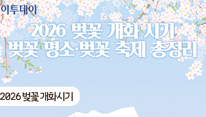 2026 벚꽃 개화 시기·벚꽃 명소·벚꽃 축제 총정리 [그래픽 스토리]