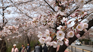 벌써 여름 온다?…두려워지는 4월