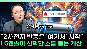 LG엔솔, '특허 전쟁' 본격화⋯주가 변수 되나 [찐코노미]