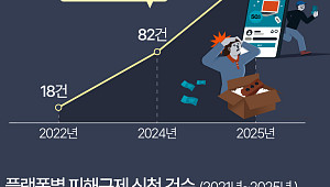 안심결제도 무용지물…중고거래 플랫폼 피해 10배 증가 [데이터클립]