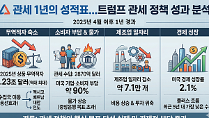 트럼프 관세 정책 후 1년...성과 따져보니 [인포그래픽]