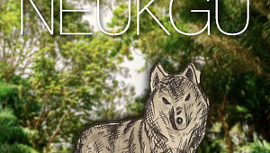 푸바오, 무뎅, 펀치, 늑구…동물원 스타가 탄생하는 이유 [이슈크래커]