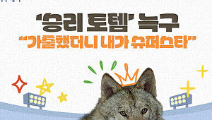 '승리 토템' 늑구…"가출했더니 내가 슈퍼스타" [요즘, 이거]