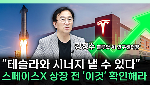 테슬라 운명 가를 머스크의 승부수⋯관건은 실적 [찐코노미]