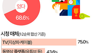 북중미 월드컵, 10명 중 7명은 본다…해설자 선호는 '이영표' [데이터클립]