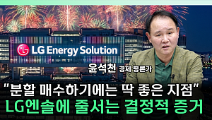 "턴어라운드 오면 케파 많은 곳이 다 먹는다"⋯LG엔솔 지금 담아야 하나 [찐코노미]