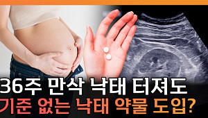 낙태죄 폐지 후 5년⋯'먹는 낙태약'은 왜 아직도 불법 유통되나 [T 같은 F]