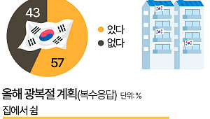 광복절 연휴 계획은? …10명 중 6명 "집에서 쉰다" [데이터클립]
