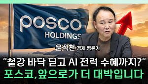 "리튬 더 오르면 주가 안 오를 이유 없다"⋯포스코홀딩스 반전 조건 [찐코노미]