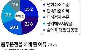 "몇 잔 안 마셔서, 술 깬 줄"…음주 운전자들이 운전대 잡은 이유 [데이터클립]