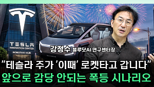 “테슬라 주가 스위치는 사이버캡 실적”⋯수익화가 분수령 [찐코노미]