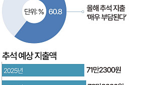 추석에 73만원 쓴다…10명 중 6명 "지출 매우 부담" [데이터클립]