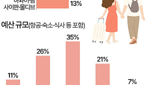 신혼여행 어디로 가길래…10명 중 6명 '800만원 이상' [데이터클립]