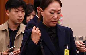 '공천개입 의혹 제기' 강혜경, 법사위 증인 출석 [포토]