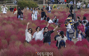 '완연한 가을' 나들이 나온 시민들 [포토]