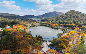 초겨울 추위 앞두고 인천대공원 가을 단풍 절정 [포토로그]