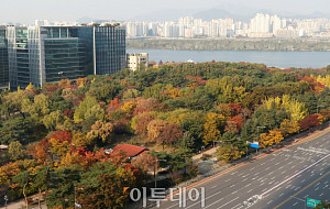 입동에도 온화한 가을 날씨…단풍 물든 여의도 [포토로그]