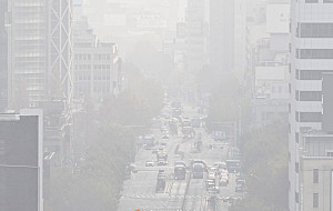 포근한 주말.. 미세먼지 농도는 '나쁨' [포토로그]