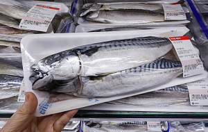 '국민생선' 고등어 가격 고공행진 [포토]