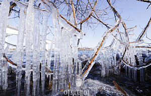 영하 10도 '맹추위'에 꽁꽁 언 한강 고드름 [포토]