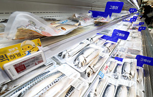 정부 '대형마트서 고등어 최대 60% 할인' [포토로그]