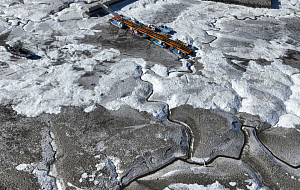 '대한 한파에 얼어붙은 바다' [포토로그]