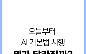 AI 기본법 오늘부터 시행...뭐가 달라질까? [카드뉴스]