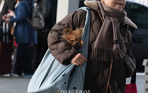 낮에도 영하권 '날씨'…한파, 언제까지? [포토로그]