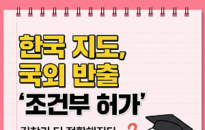 고정밀 지도 쇼크…관광객은 웃고, 국내 플랫폼은 긴장하고 [카드뉴스]