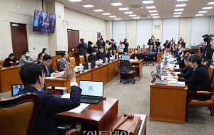 행안위, 중대범죄수사청 설치법 '통과' [포토]