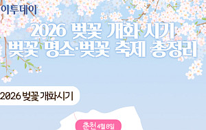 2026 벚꽃 개화 시기·벚꽃 명소·벚꽃 축제 총정리 [그래픽 스토리]