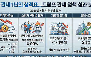 트럼프 관세 정책 후 1년...성과 따져보니 [인포그래픽]
