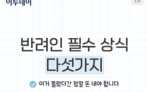 모르면 과태료...반려인 필수 상식 5가지 [카드뉴스]