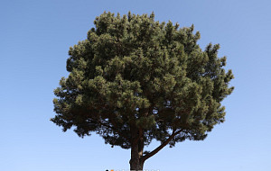 변덕스러운 날씨 속 한 박자 여유 [한컷]