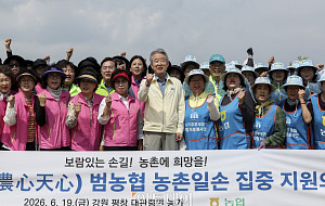 강호동 농협중앙회장 등 임직원, 강원지역 농촌 일손 집중지원 [포토]