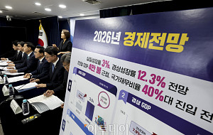 2026년 하반기 경제성장전략 관계부처 합동브리핑 [포토]