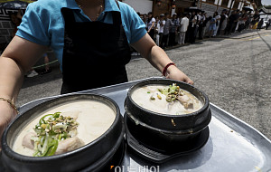 '초복' 북적이는 삼계탕 음식점 [포토]
