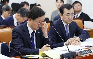 국회 정무위원회, 금융감독원 국정감사 [포토]