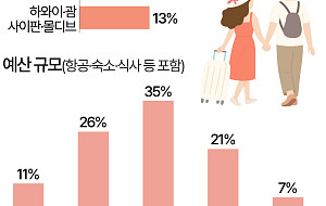 신혼여행 어디로 가길래…10명 중 6명 '800만원 이상' [데이터클립]