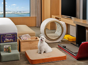 콘래드 서울, 피드백 반영한 펫 패키지 리뉴얼