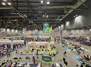 코리아보드게임즈, 10일간의 보드게임 축제 '패밀리 파크' 성료