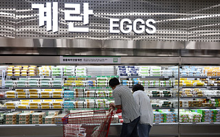 달러가 움직이면 닭이 화내는 이유?…계란값이 알려준 진실 [에그리씽]