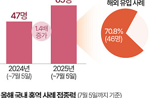 "베트남 갔다가 홍역"…여름철 해외여행 홍역 주의보 [데이터클립]