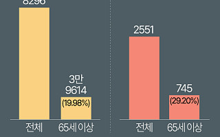 브레이크 대신 가속페달?⋯고령 운전자 사고, 숫자로 본 현실 [그래픽 스토리]
