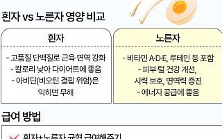 노른자만 주기?…강아지 '계란' 어떻게 급여해야 할까 [에그리씽]