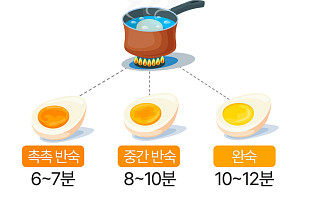 6분? 10분?…완벽한 계란 삶는 법 [에그리씽]