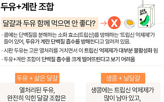 두유와 계란, 같이 먹으면 안 된다? [에그리씽]