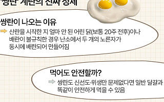 '쌍란' 달걀의 진짜 정체 [에그리씽]